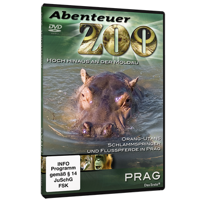 Abenteuer Zoo - Set