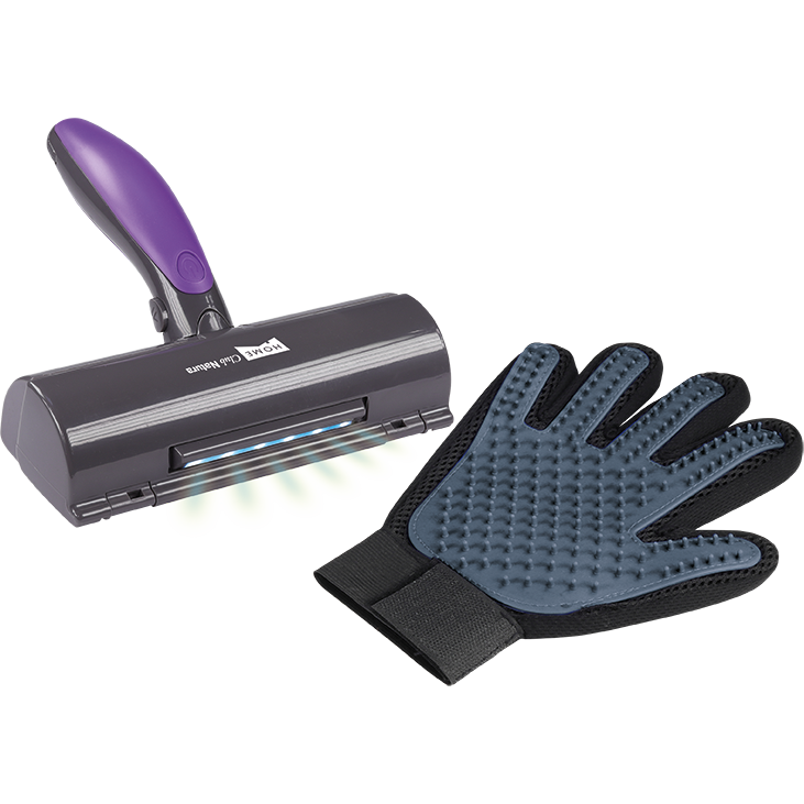 Fellpflege-Set (Handschuh & Staubsauger)