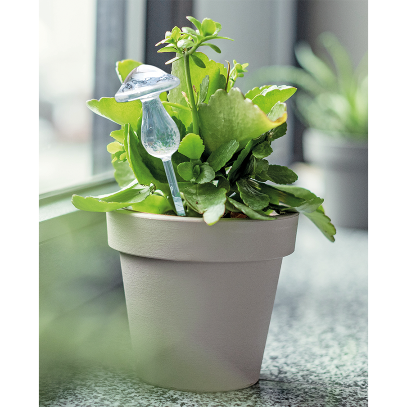 Wasserspender »Pilze«