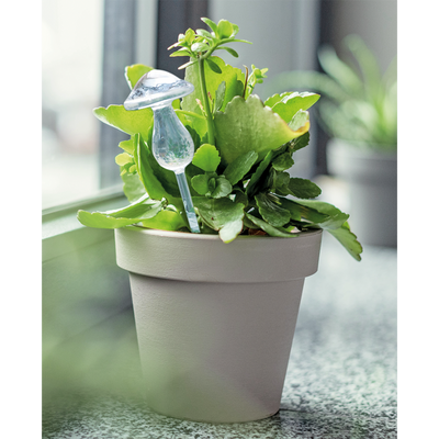 Wasserspender »Pilze«